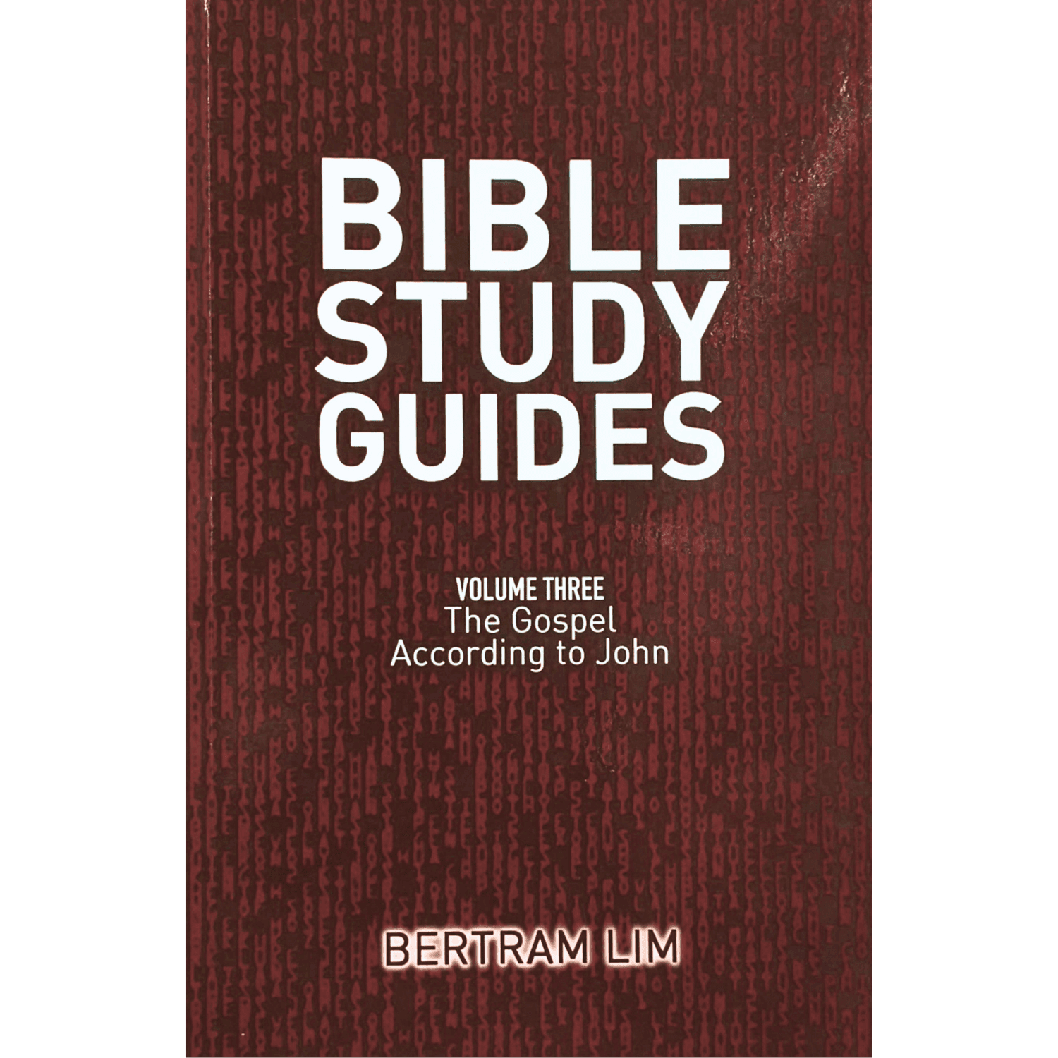 Bible Study Guide Vol. 3