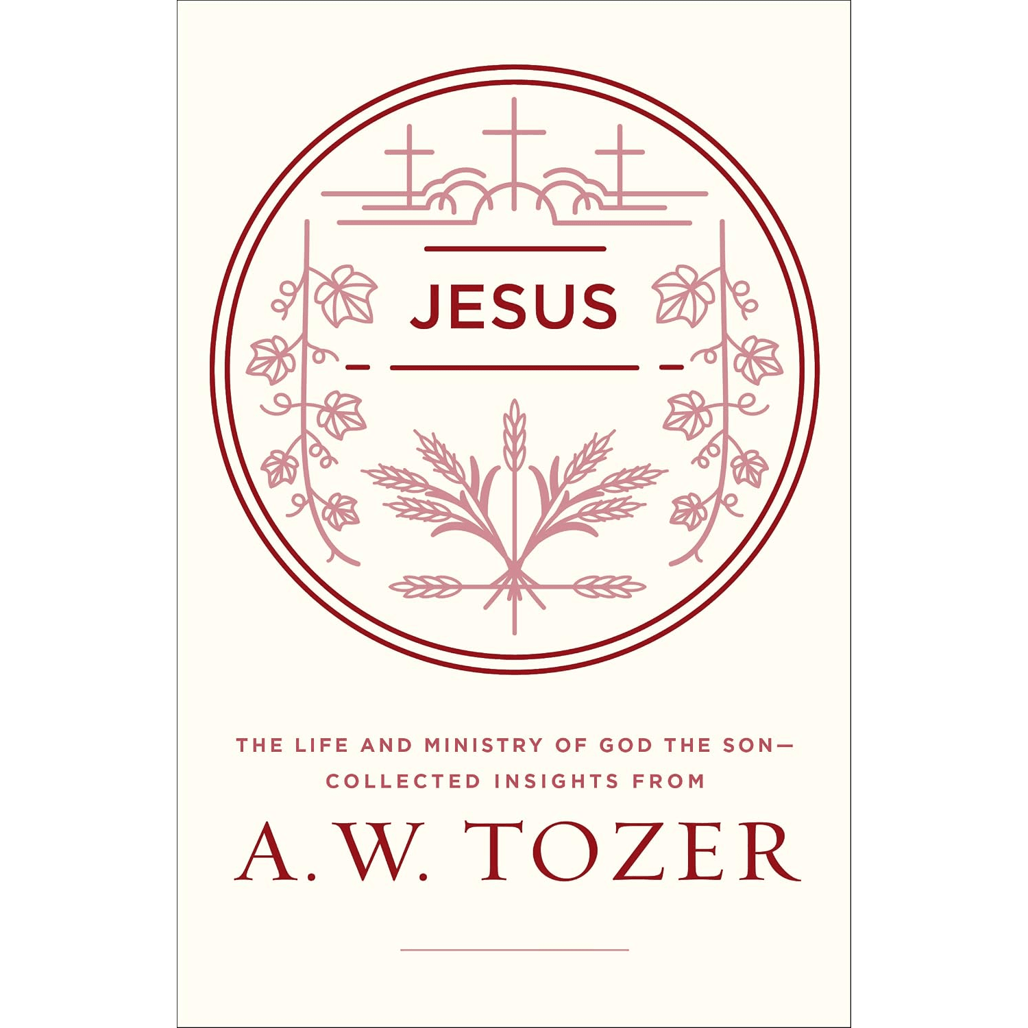 Jesus: The Life and Ministry of God the Son